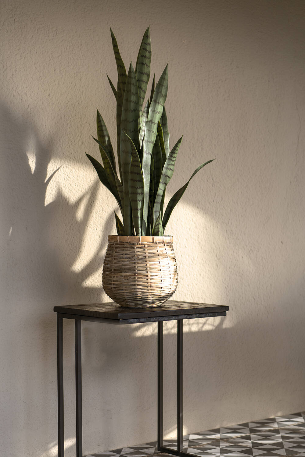 
Plante artificielle plus vraie que nature « Sansevieria »
