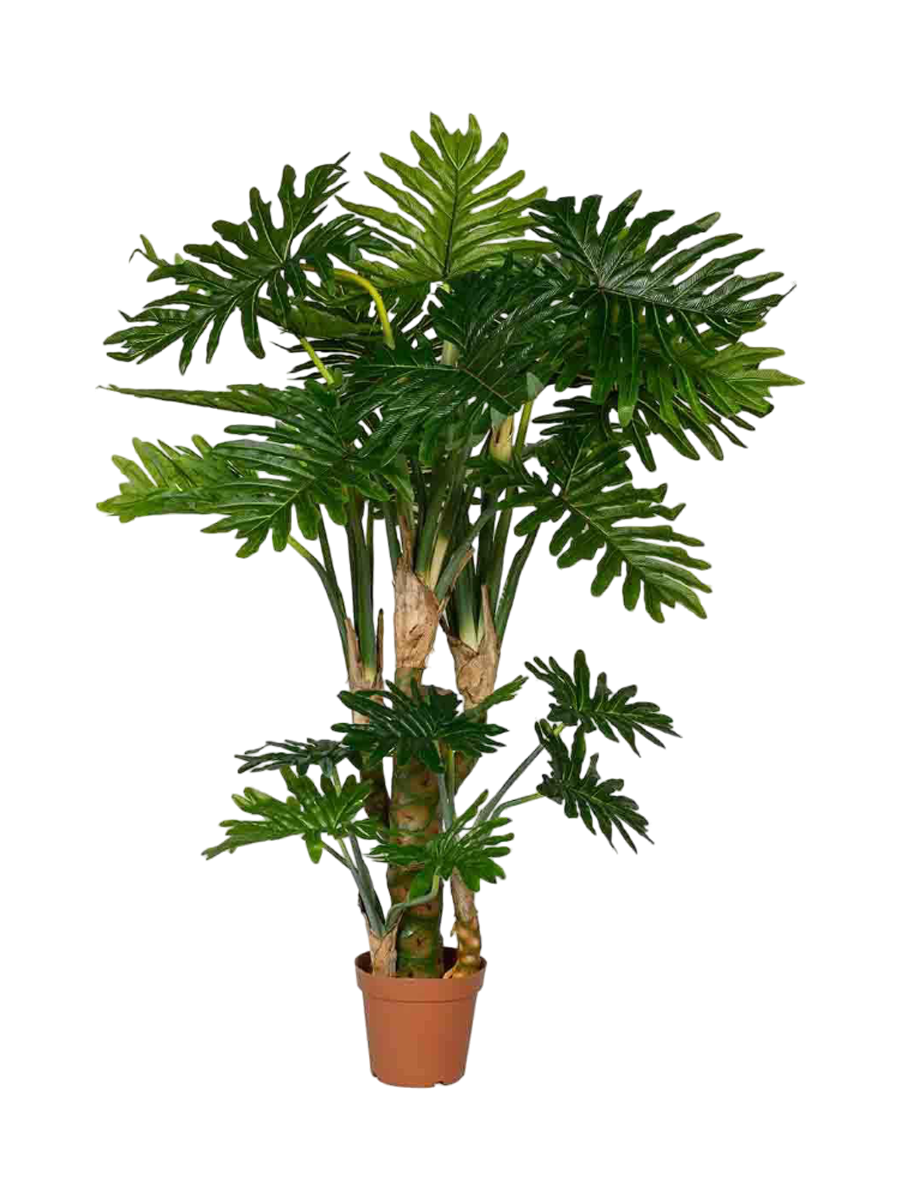
Plante artificielle réaliste "Philodendron XL", hauteur 160 cm