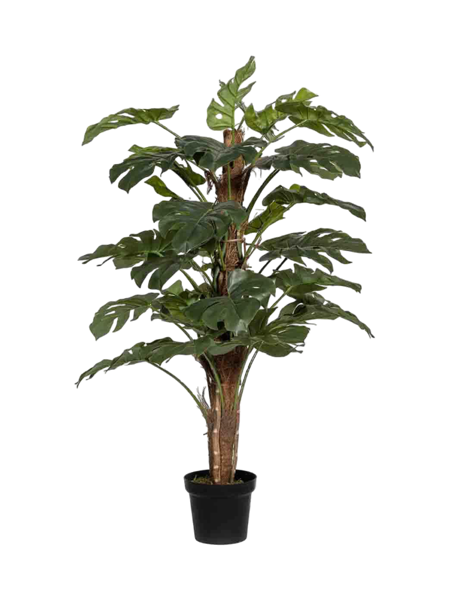 
Plante artificielle réaliste « Monstera Pertusum » Hauteur 140 cm