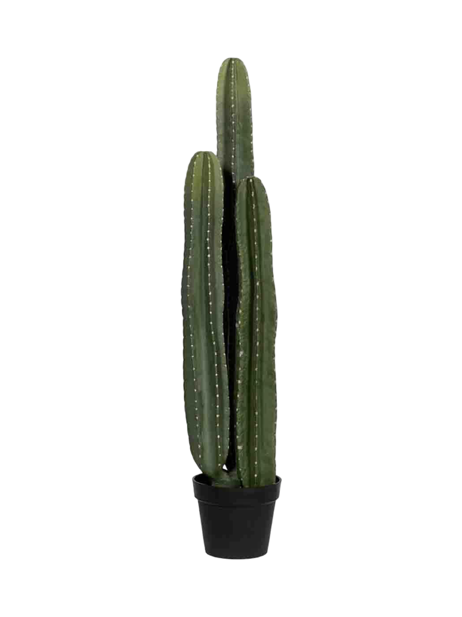 
Plante artificielle réaliste « Cactus San Pedro », hauteur 100 cm