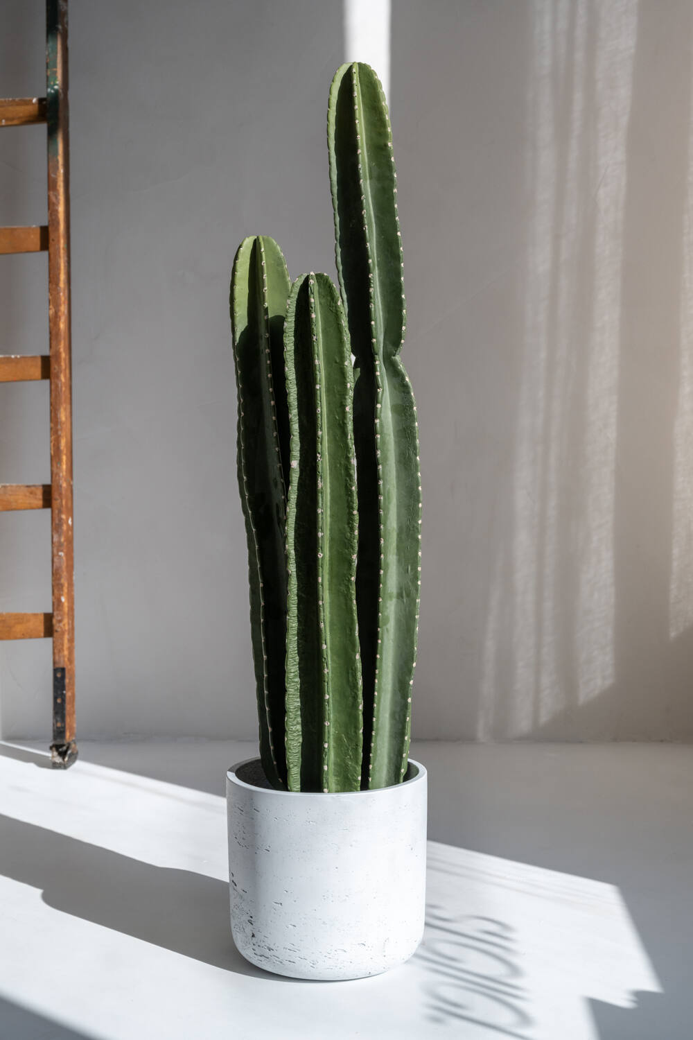 
Plante artificielle réaliste « Cactus San Pedro », hauteur 100 cm