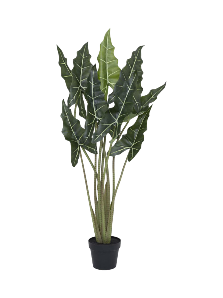 
Plante artificielle réaliste XL "Alocasia Tara", différentes tailles - 120 cm