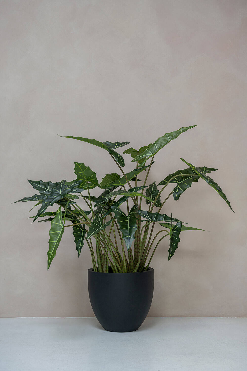 
Plante artificielle réaliste XL "Alocasia Tara", différentes tailles - 120 cm