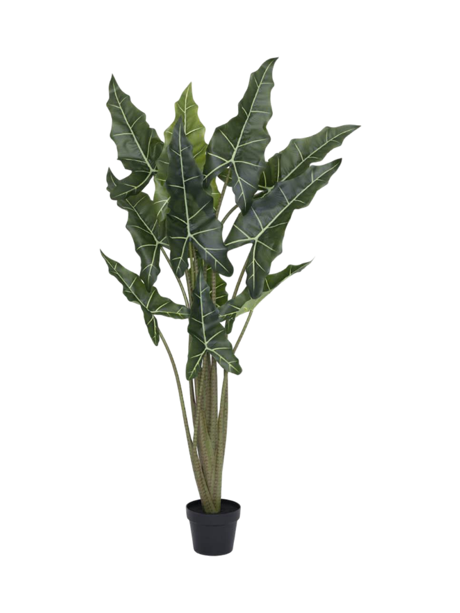 
Plante artificielle réaliste XL "Alocasia Tara", différentes tailles - 140 cm