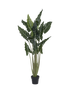 IMAGE for product variant SKU F1020-160-91