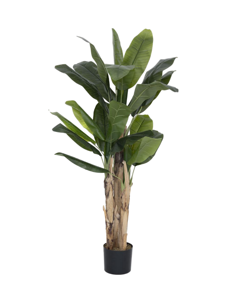 
Plante artificielle réaliste « Banana Tree », différentes tailles - Hauteur 160 cm