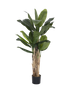 IMAGE for product variant SKU F1021-160-91