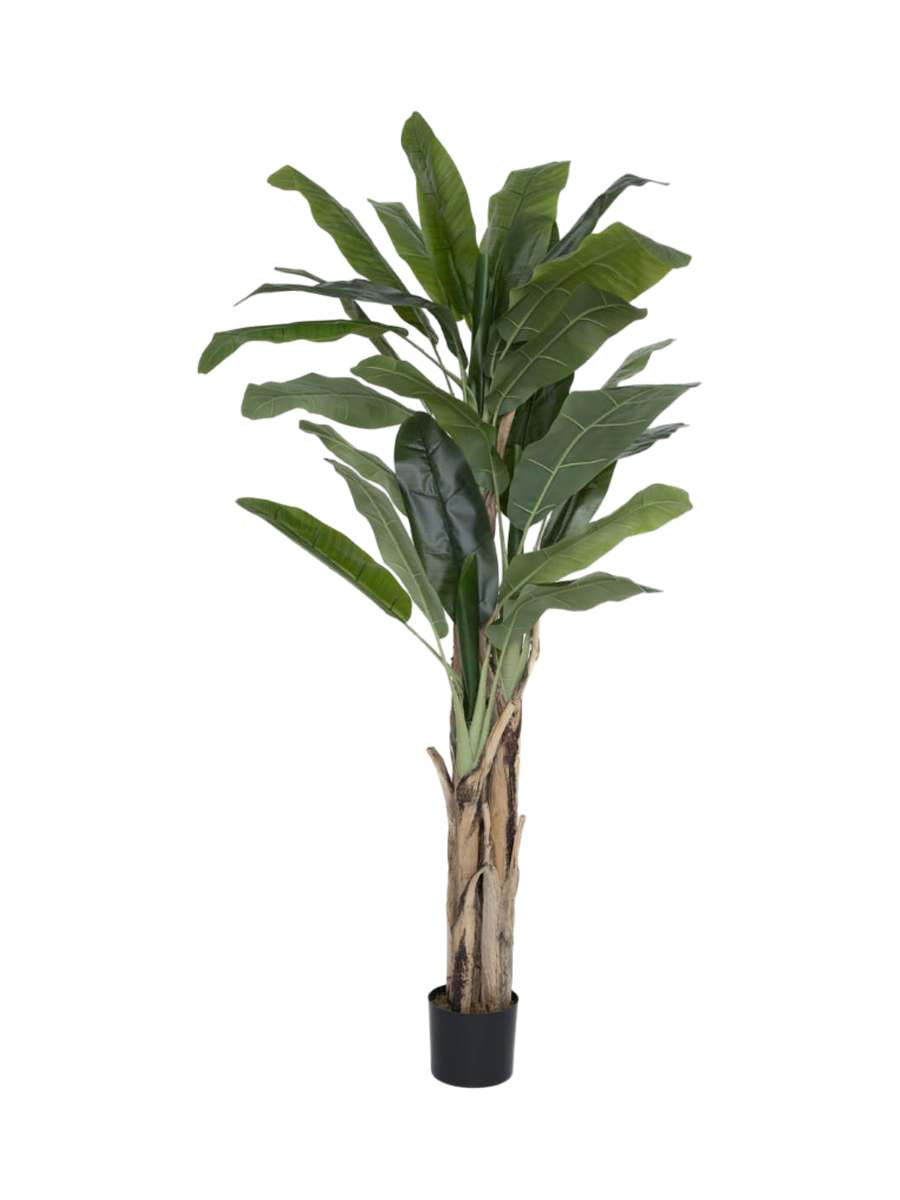 
Plante artificielle réaliste « Banana Tree », différentes tailles - Hauteur 205 cm