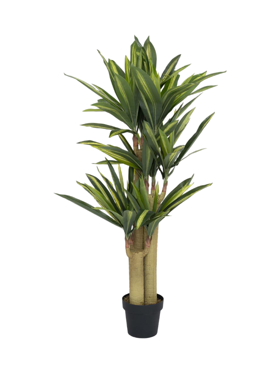 
Plante artificielle « Dracaena » aspect naturel, diverses tailles - Hauteur 120 cm