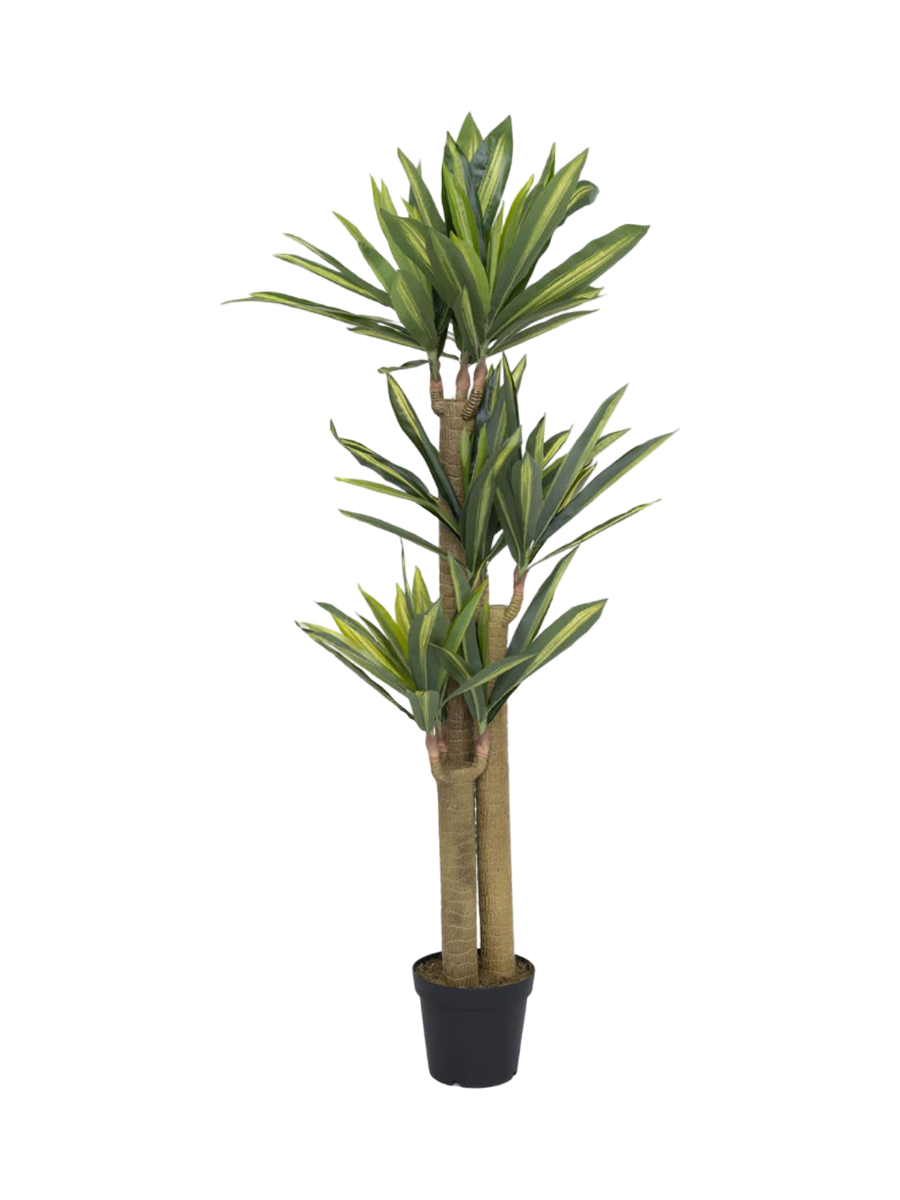 
Plante artificielle « Dracaena » aspect naturel, diverses tailles - Hauteur 180 cm