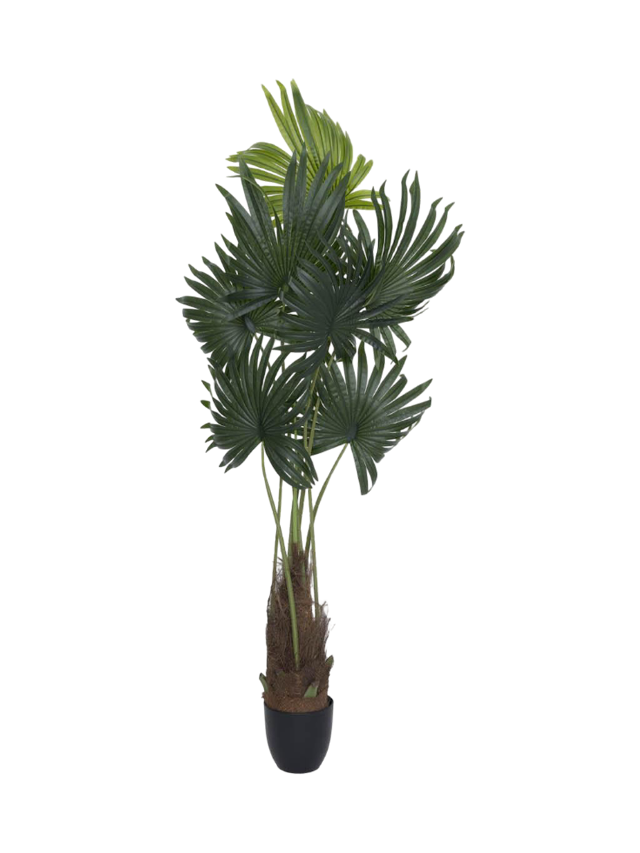 
Plante artificielle réaliste "Palm Tree Tuft", différentes tailles - Hauteur 160 cm