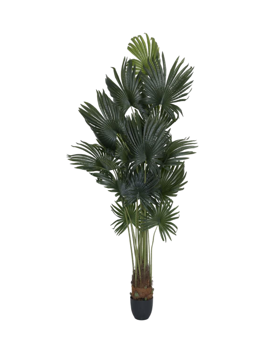 
Plante artificielle réaliste "Palm Tree Tuft", différentes tailles - Hauteur 220 cm