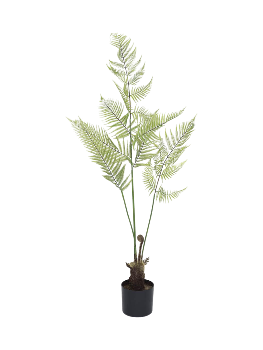 
Plante artificielle plus vraie que nature « Fern », différentes tailles - Hauteur 120 cm