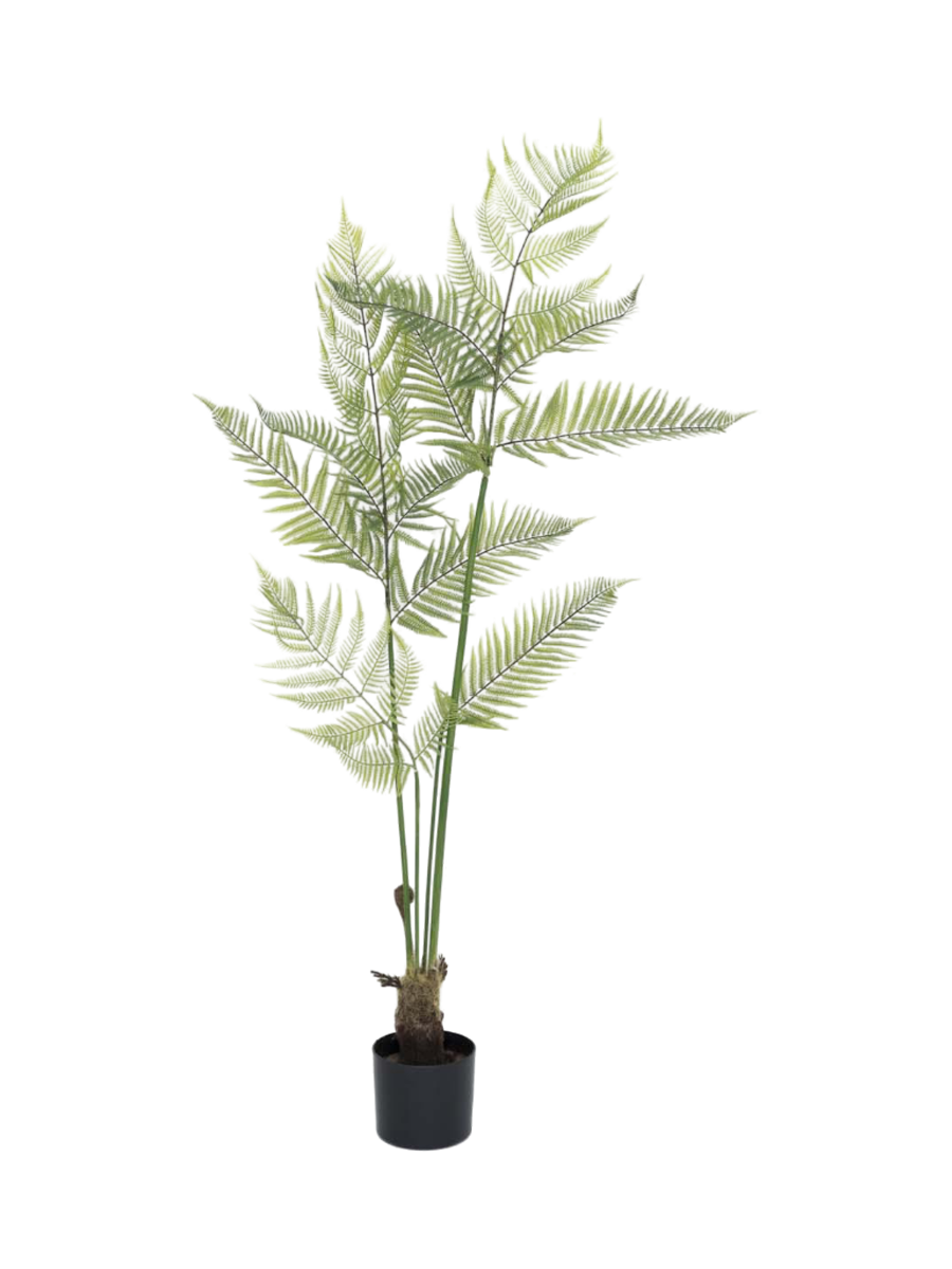 
Plante artificielle plus vraie que nature « Fern », différentes tailles - Hauteur 150 cm