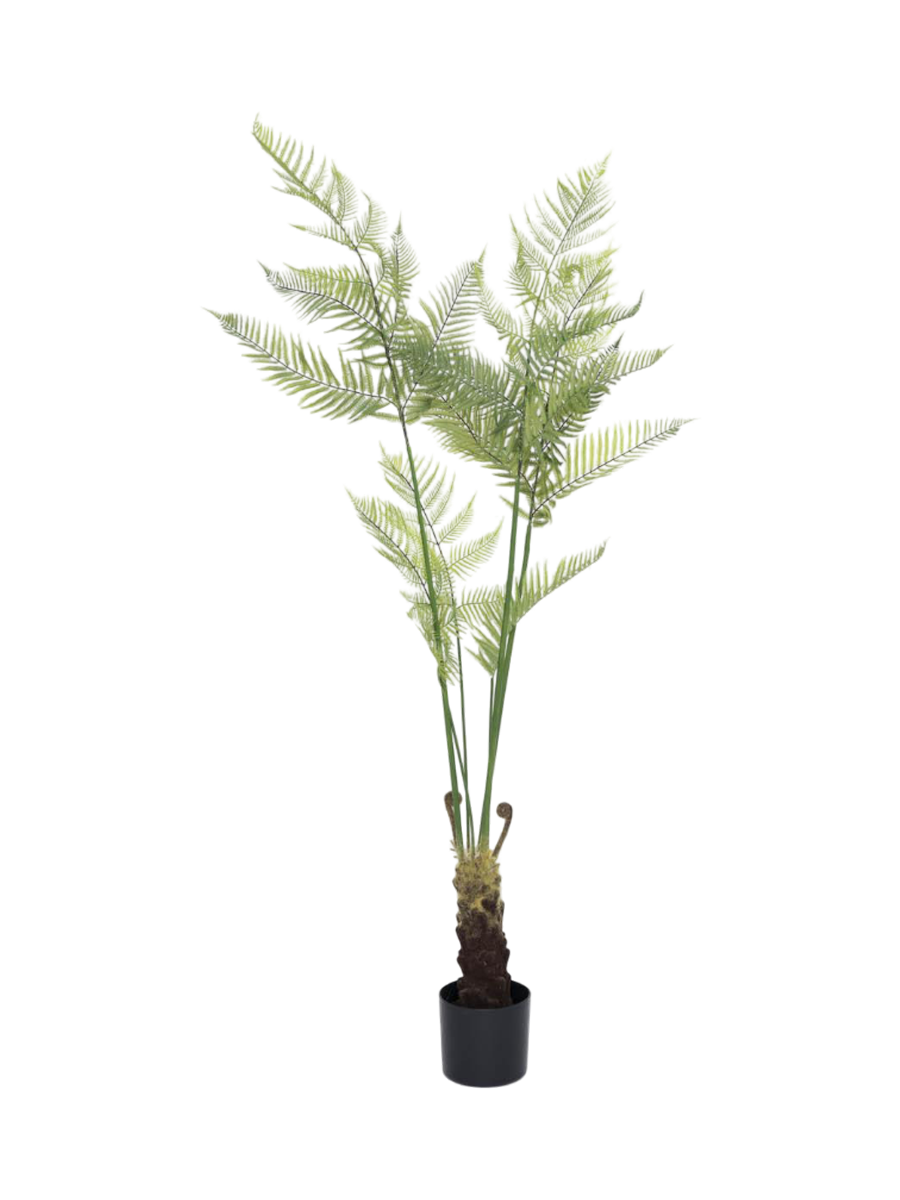 
Plante artificielle plus vraie que nature « Fern », différentes tailles - Hauteur 180 cm