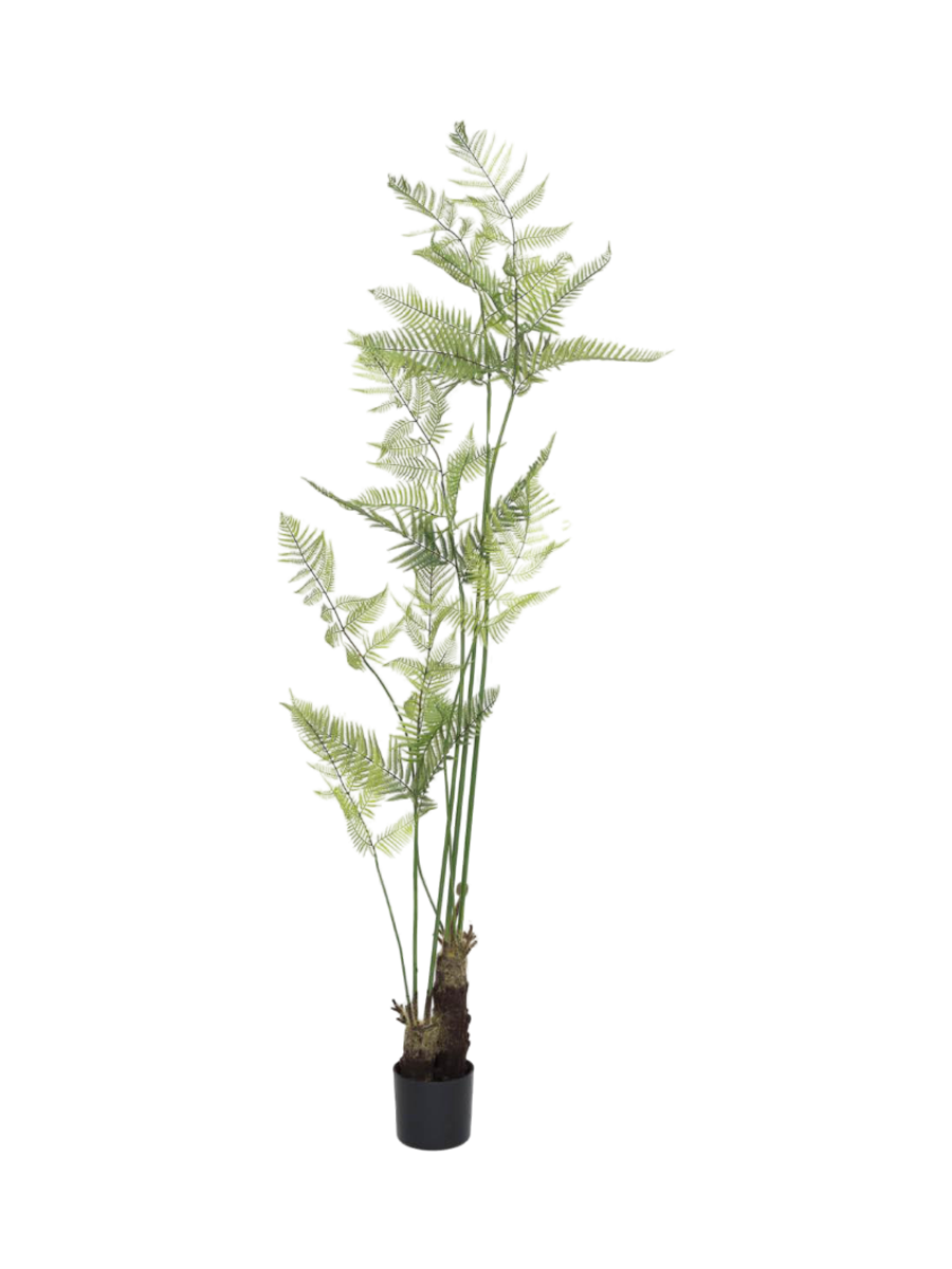 
Plante artificielle plus vraie que nature « Fern », différentes tailles - Hauteur 210 cm