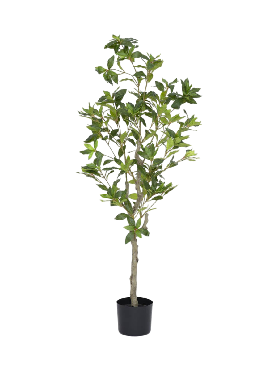 
Plante artificielle "Pieris" plus vraie que nature, différentes tailles - Hauteur 125 cm