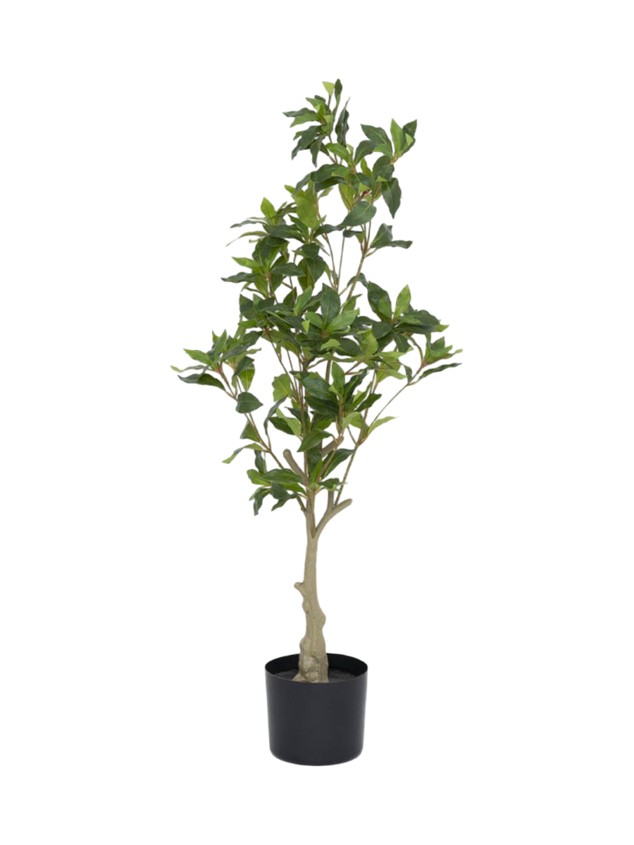 
Plante artificielle "Pieris" plus vraie que nature, différentes tailles - Hauteur 95 cm
