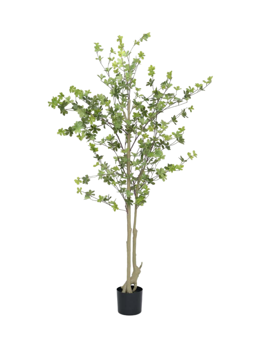 
Plante artificielle réaliste "Enkianthus perulatus", hauteur 180 cm