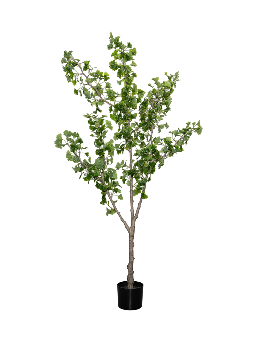 
Plante artificielle réaliste "Ginko Biloba Tree L", Ø 40 x 180 cm