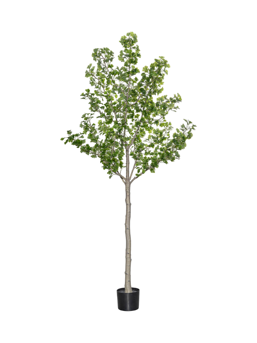 
Plante artificielle plus vraie que nature « Ginko Biloba Tree XL », Ø 50 x 270 cm