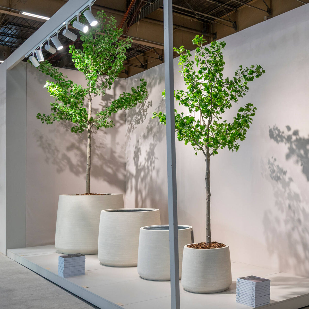 
Plante artificielle plus vraie que nature « Ginko Biloba Tree XL », Ø 50 x 270 cm