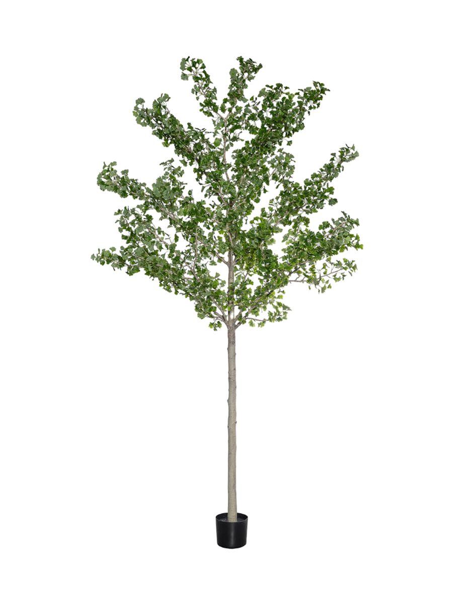 
Plante artificielle réaliste "Ginko Biloba Tree XXL", Ø 100 x 360 cm