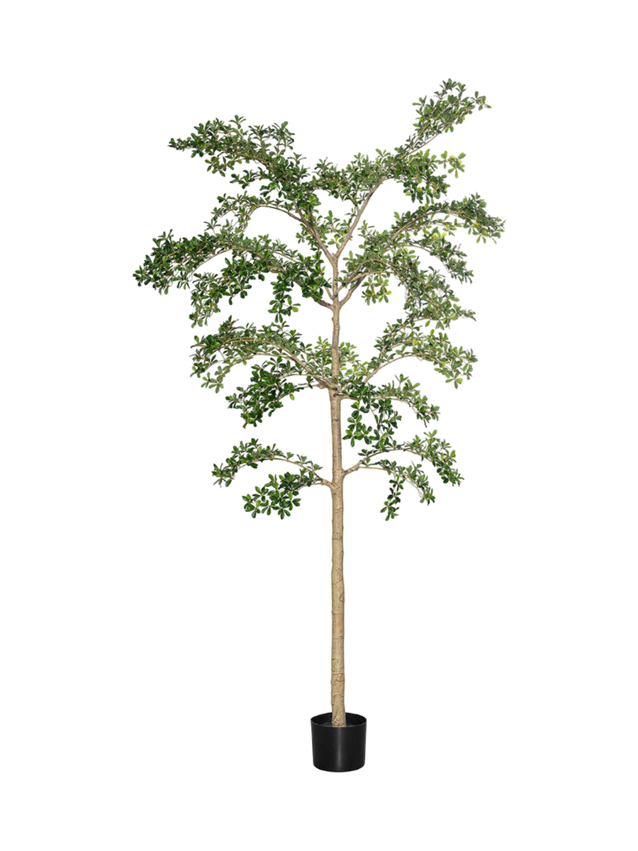 
Plante artificielle réaliste "Buchida Buceras Shady Lady Tree XL", Ø 80 x 280 cm