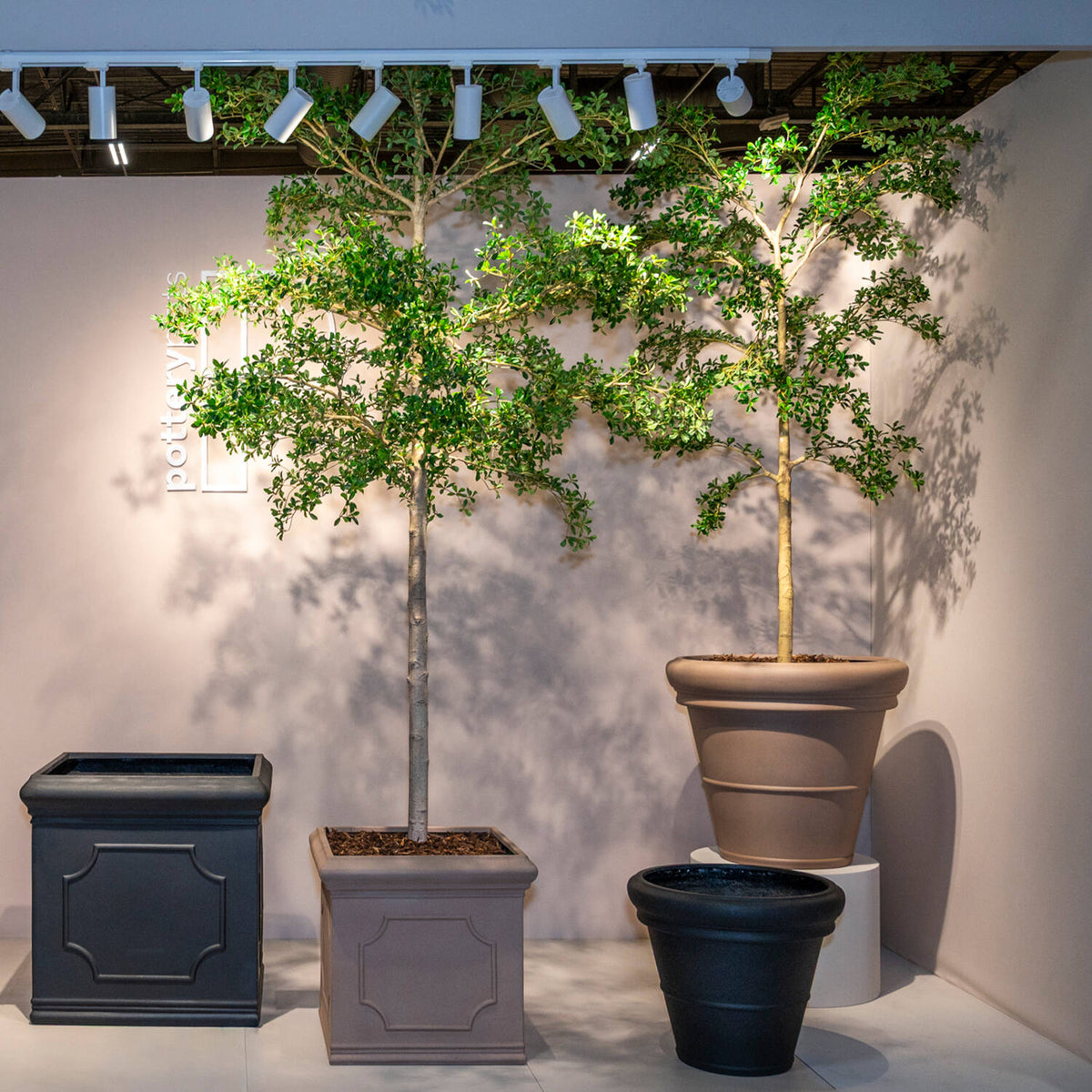 
Plante artificielle réaliste "Buchida Buceras Shady Lady Tree XL", Ø 80 x 280 cm