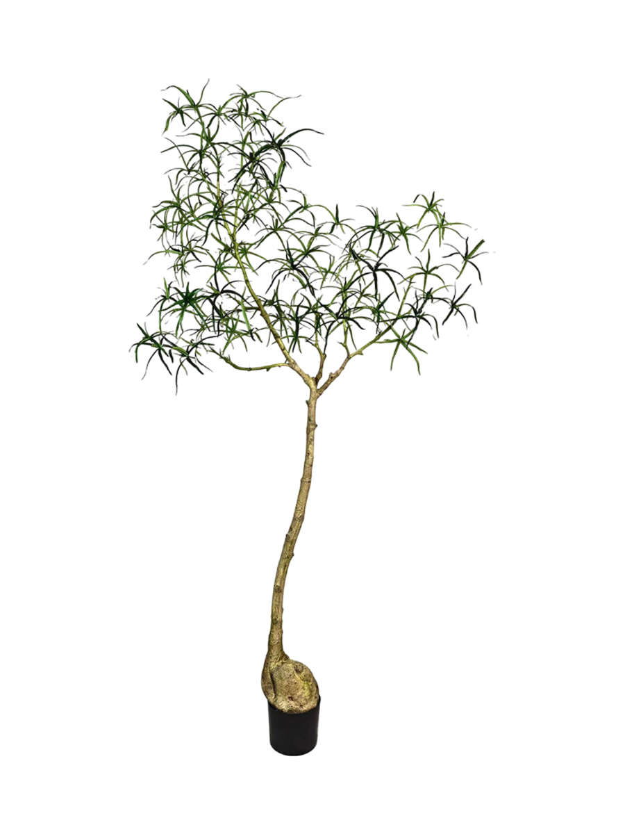 
Plante artificielle réaliste « Queensland Bottle Tree XL », Ø 50 x 200 cm