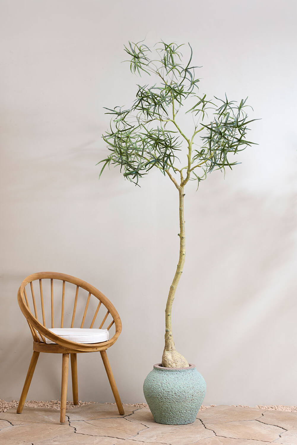 
Plante artificielle réaliste « Queensland Bottle Tree XL », Ø 50 x 200 cm