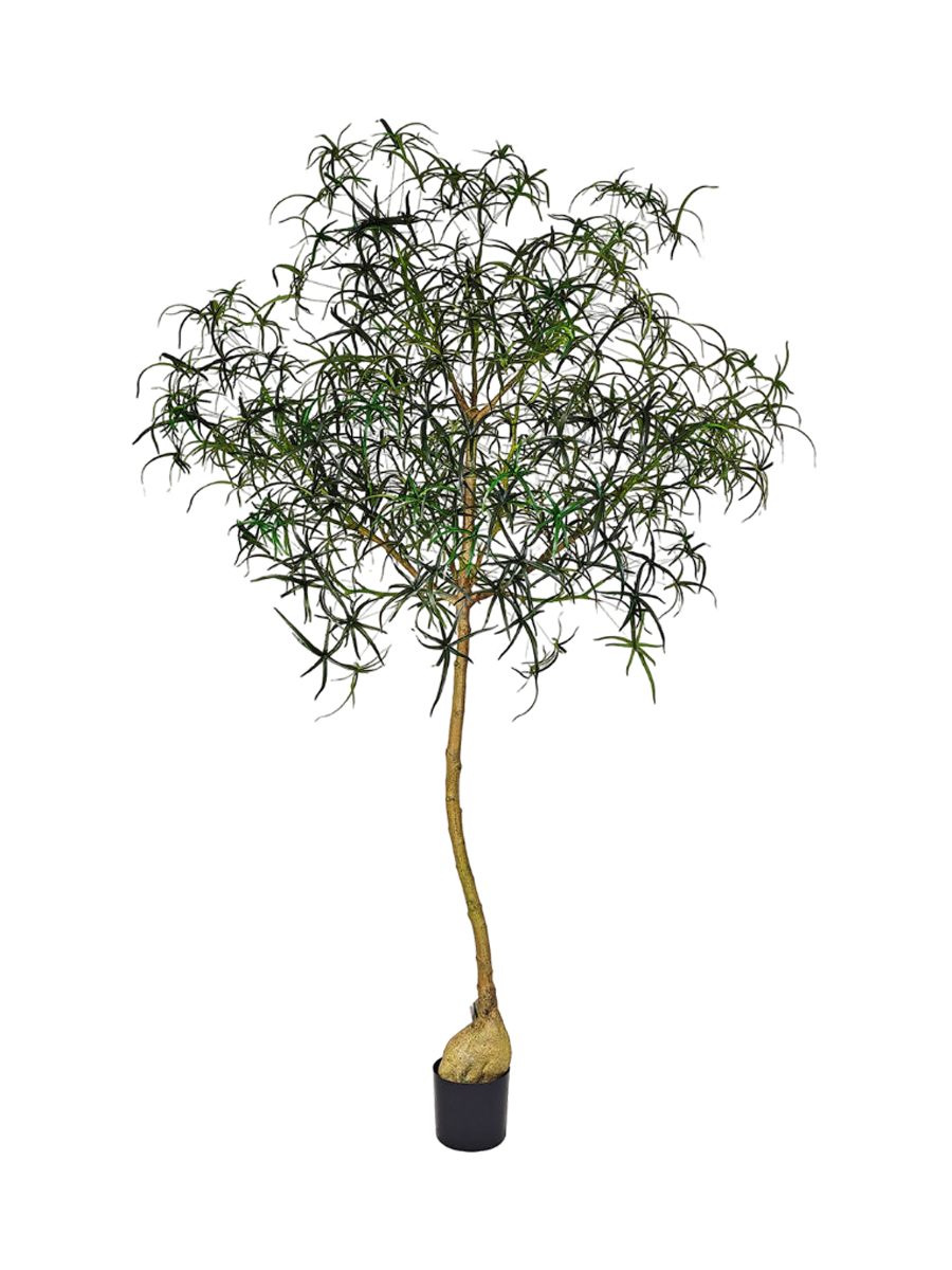 
Plante artificielle réaliste "Queensland bottle Tree XL", Ø 80 x 240 cm