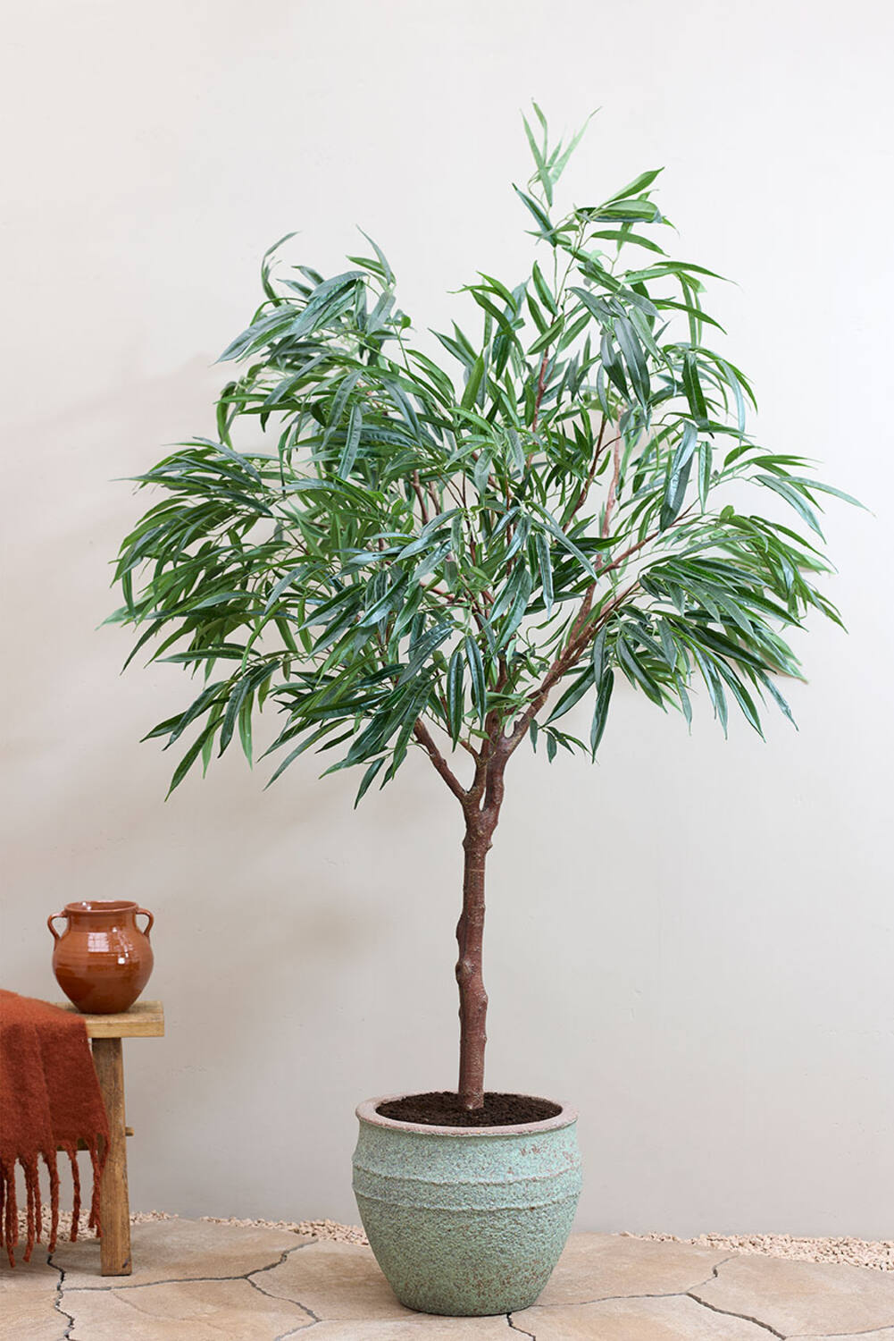 
Plante artificielle réaliste "Ficus Aldi Tree XL", différentes tailles - Ø 70 x 180 cm