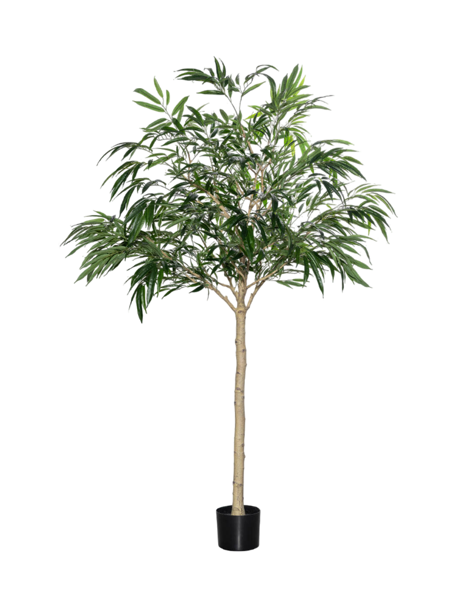 
Plante artificielle réaliste "Ficus Aldi Tree XL", différentes tailles - Ø 85 x 230 cm