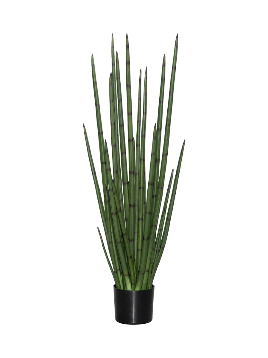 
Plante artificielle réaliste "Sansevieria Cylindrica", Ø 30 x 120 cm
