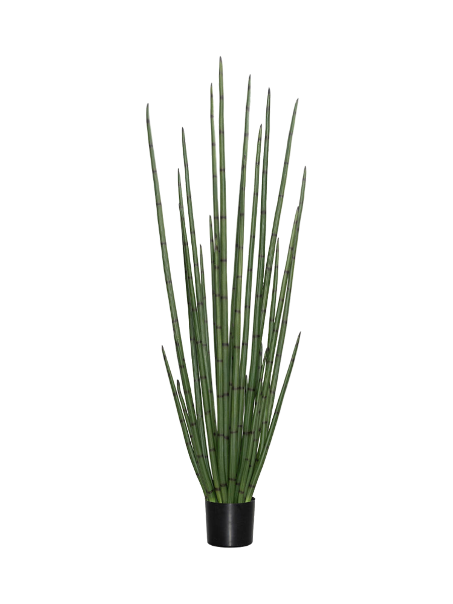 
Plante artificielle réaliste "Sansevieria Cylindrica", Ø 50 x 180 cm