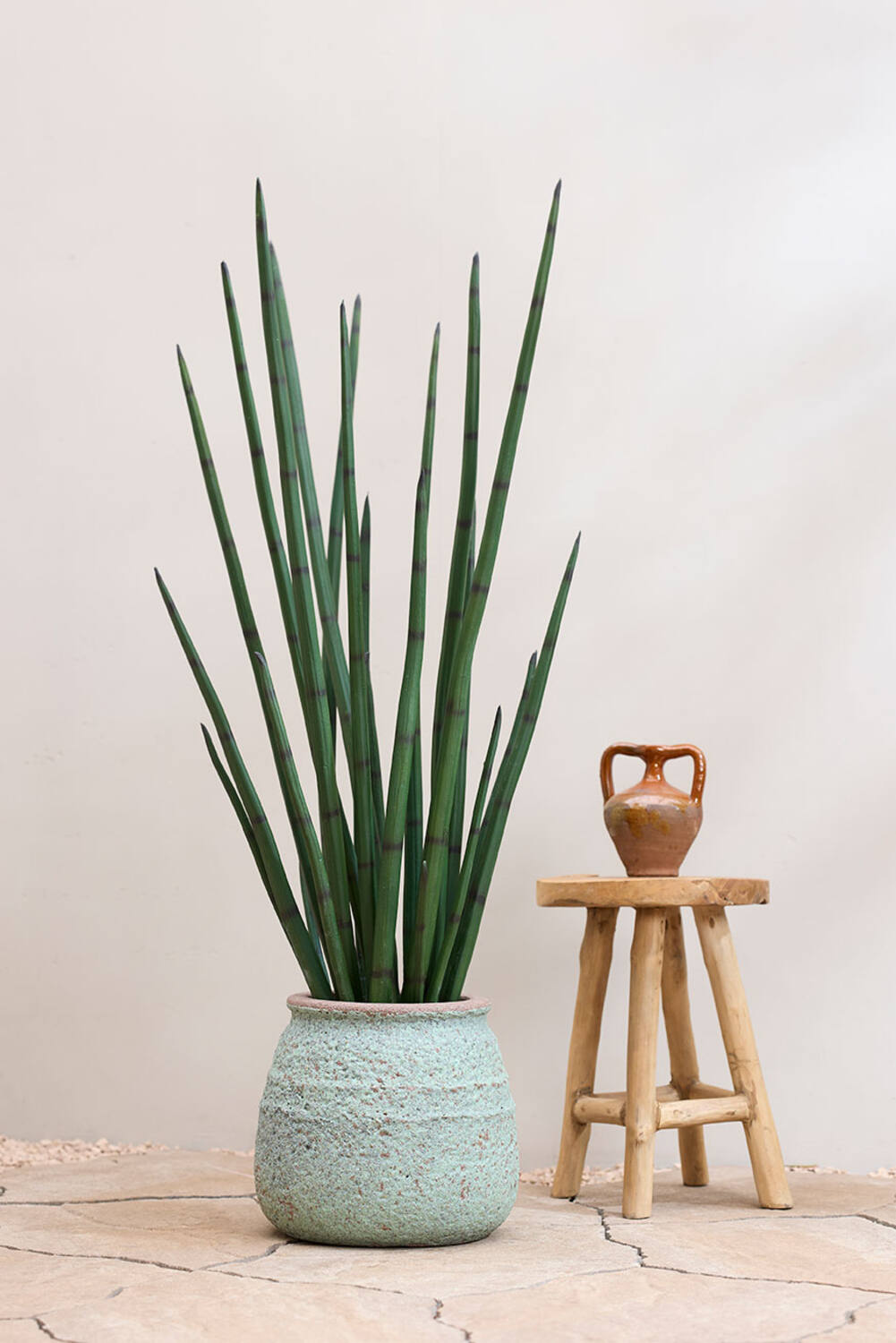 
Plante artificielle réaliste "Sansevieria Cylindrica", Ø 50 x 180 cm