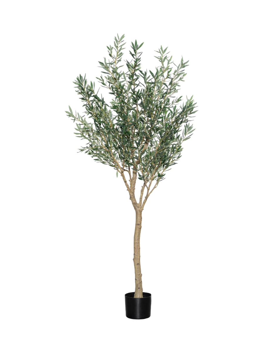 
Plante artificielle réaliste « Olivier Europaea Tree XL », Ø 65 x 240 cm