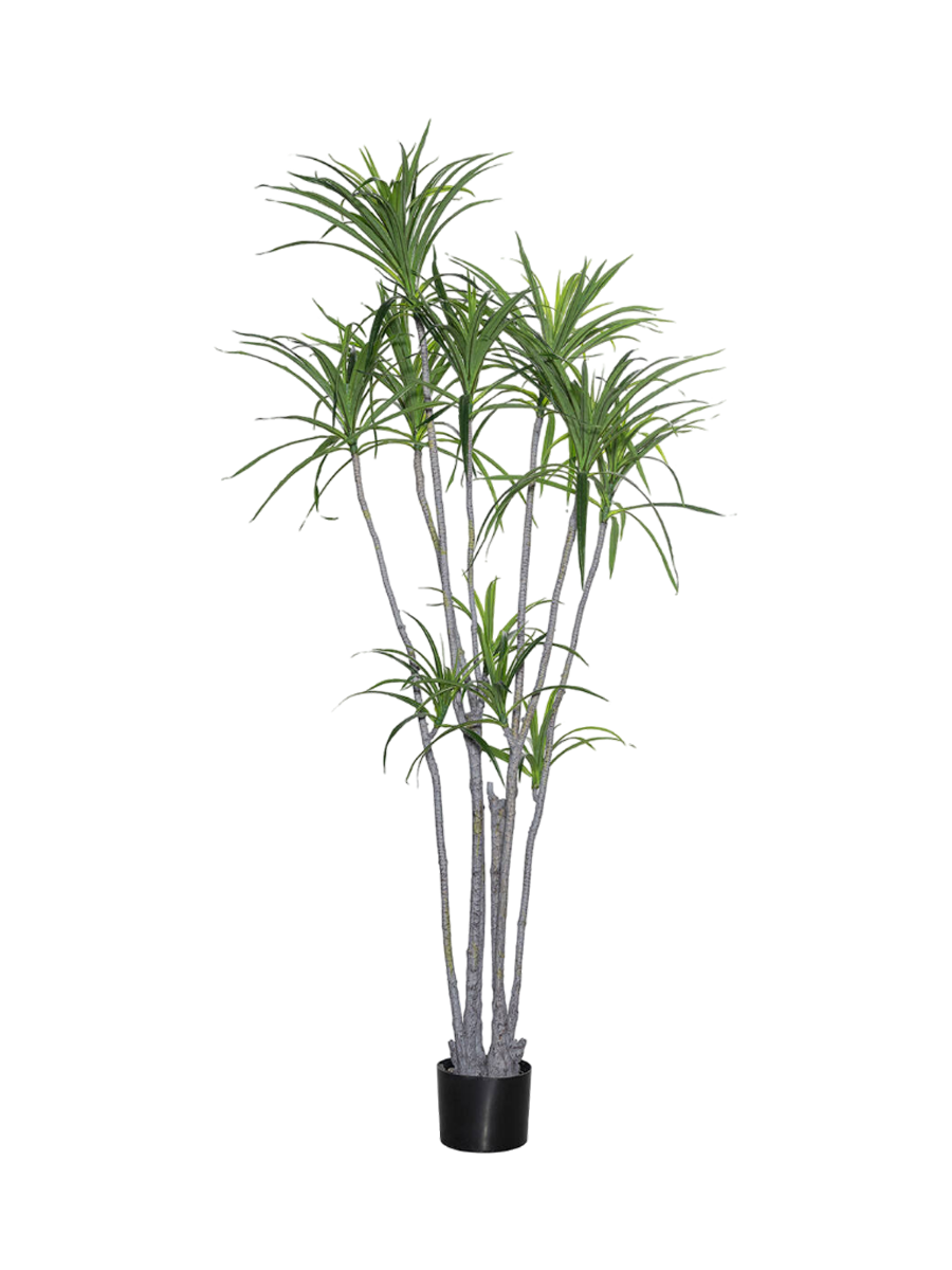 
Plante artificielle réaliste "Dracanea Multitrunk" Ø 50 x 230 cm