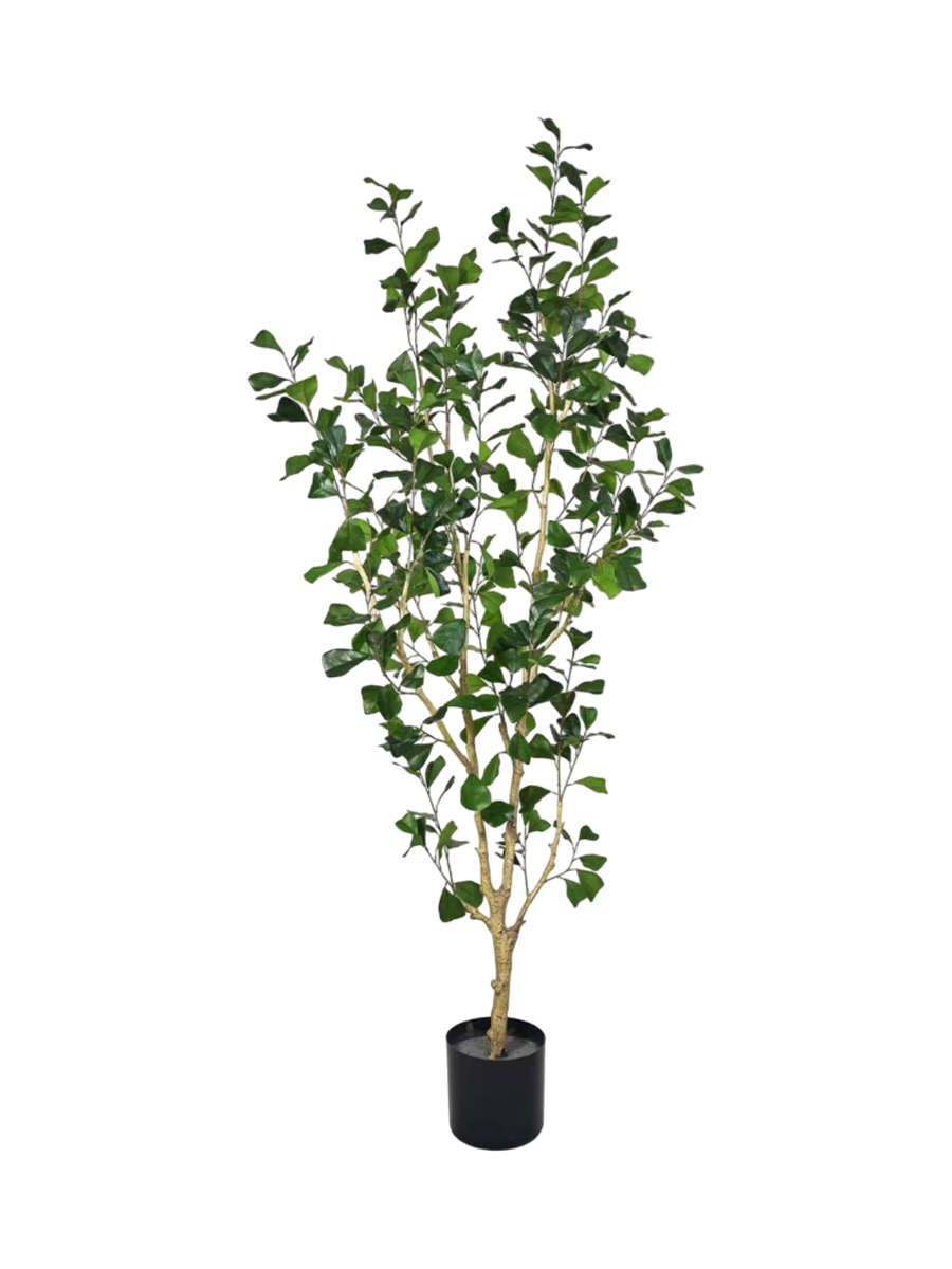 
Plante artificielle réaliste "Ficus Triangularis Tree" Ø 45 x 180 cm