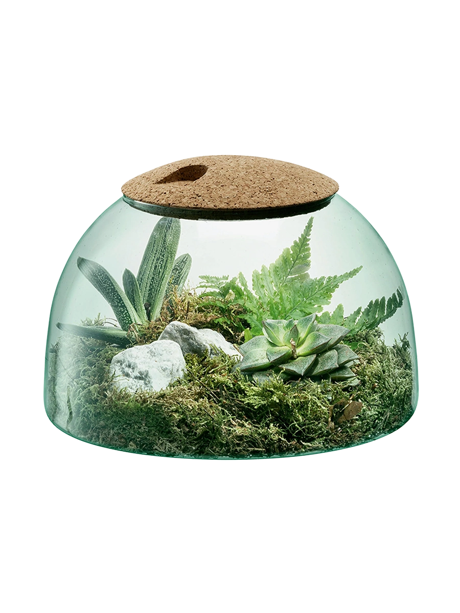 
Recycled Glass Closed Terrarium "Canopy"