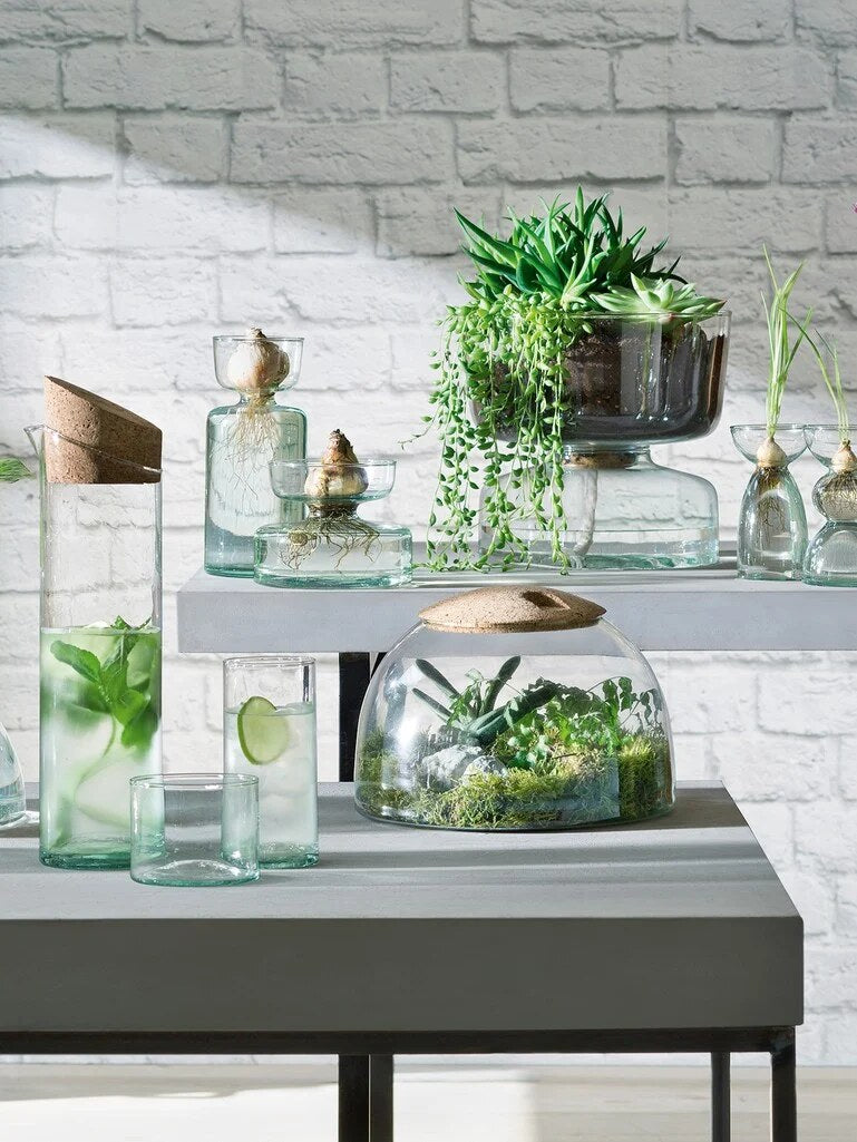
Recycled Glass Closed Terrarium "Canopy"