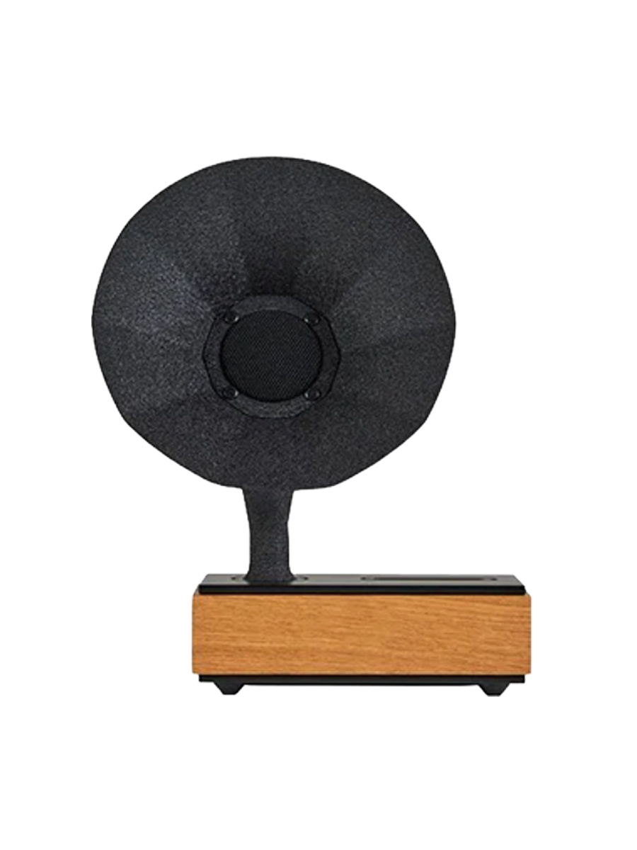 
Amplificateur acoustique de smartphone « Royal Special Edition » - Chêne naturel