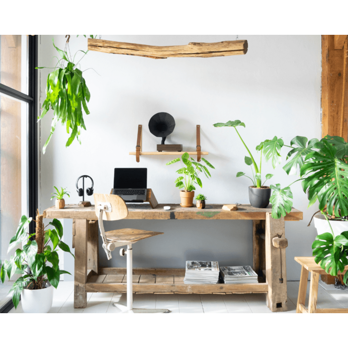 
Amplificateur acoustique de smartphone « Royal Special Edition » - Mocca