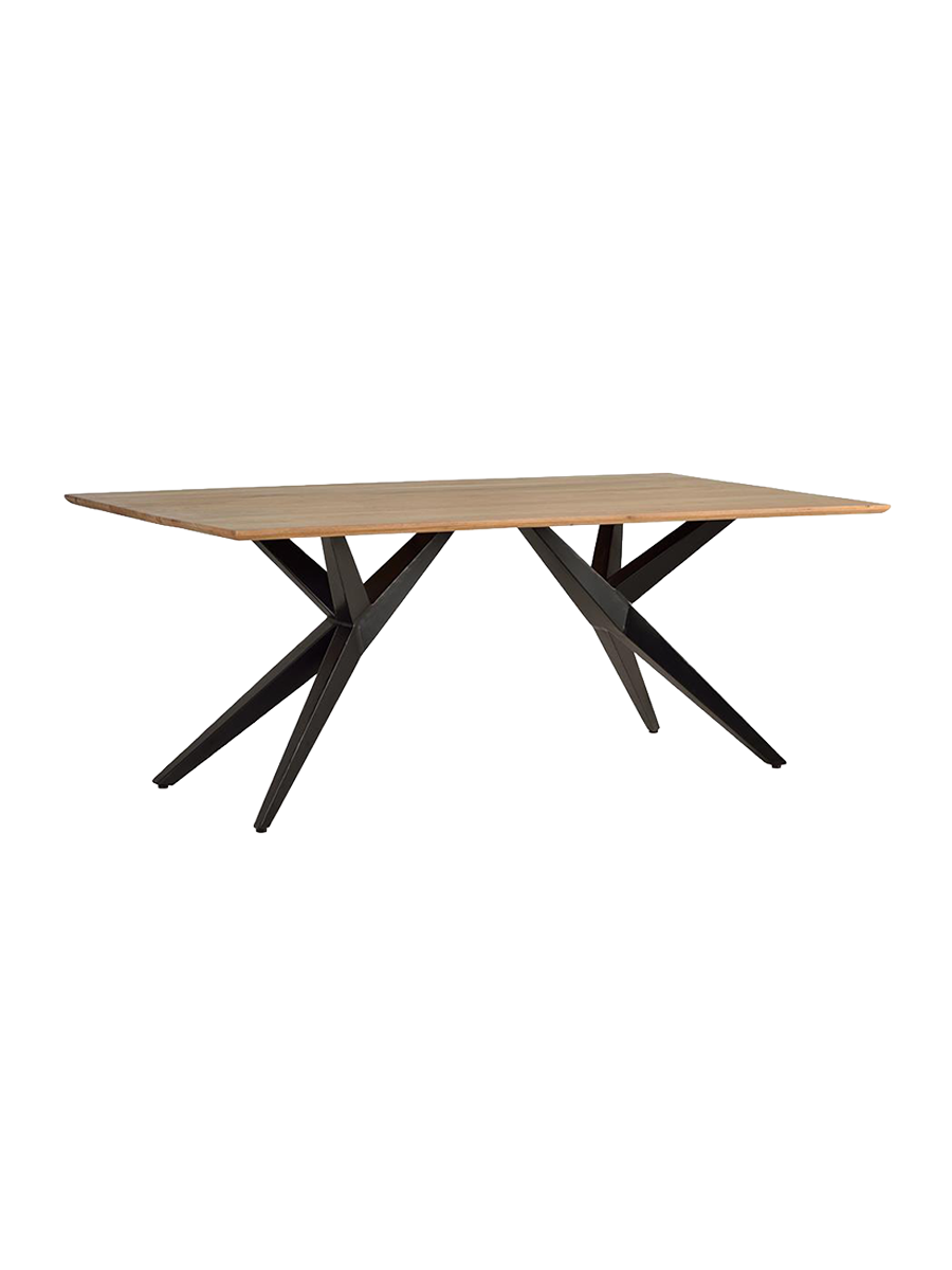 
Table de salle à manger massive "Xsilo" en différentes tailles - 200 x 100 x 77 cm