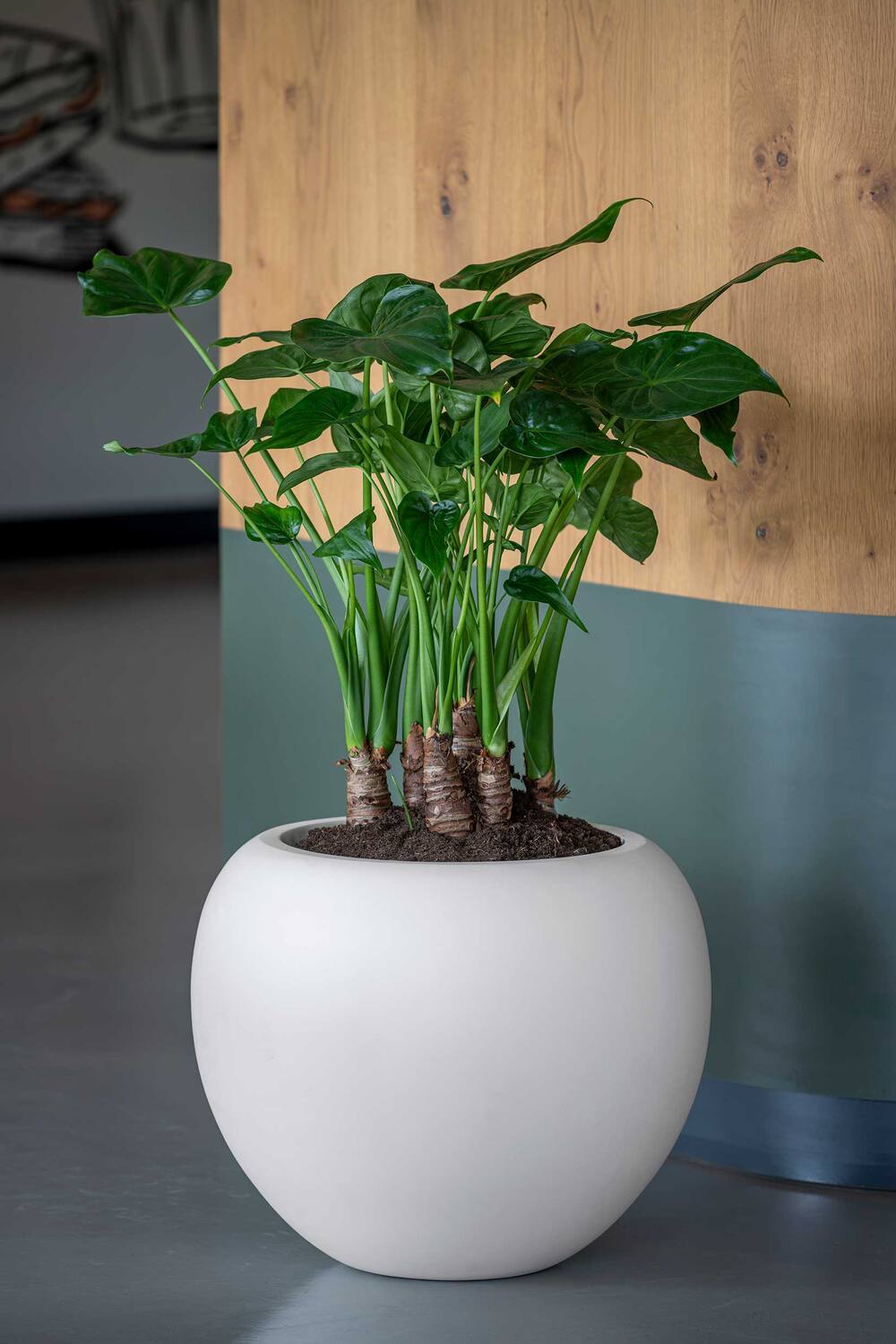 
Vaso per fiori di alta qualità per interni/esterni „Elemental Stream“ - Bianco setoso / Ø 51.6 x Altezza 42.4 cm