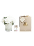 IMAGE for product variant SKU HCF02