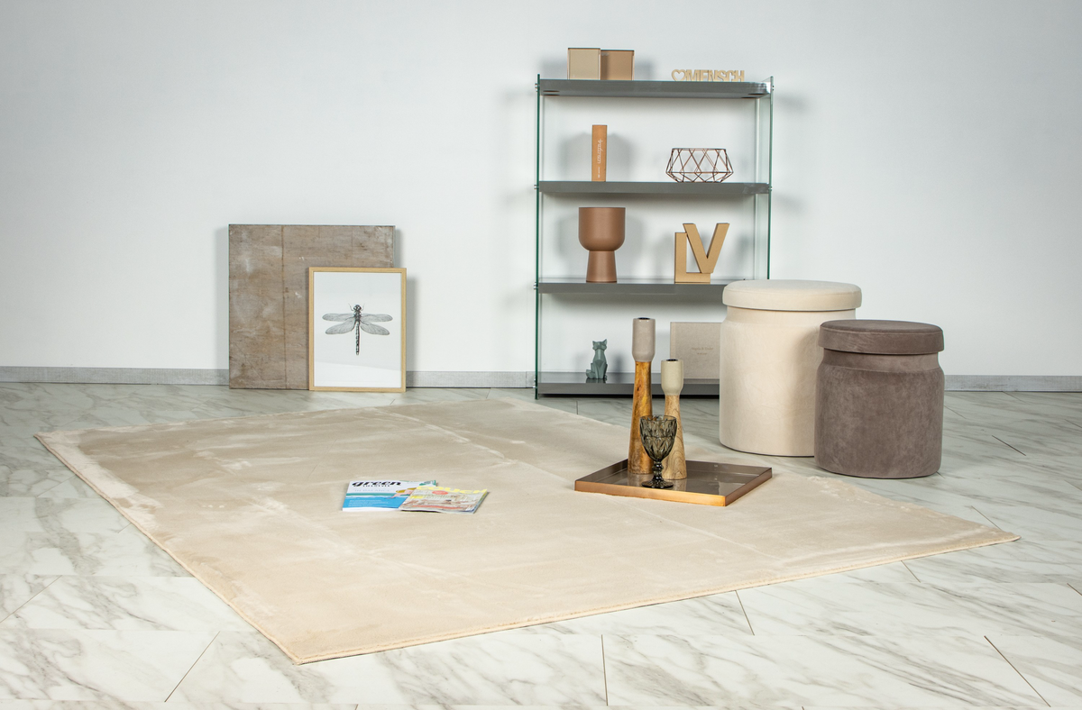 
High-quality rug "Loft 200" - Beige - 80 x 150 cm