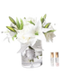 IMAGE for product variant SKU LRL01