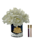 IMAGE for product variant SKU LTWB01
